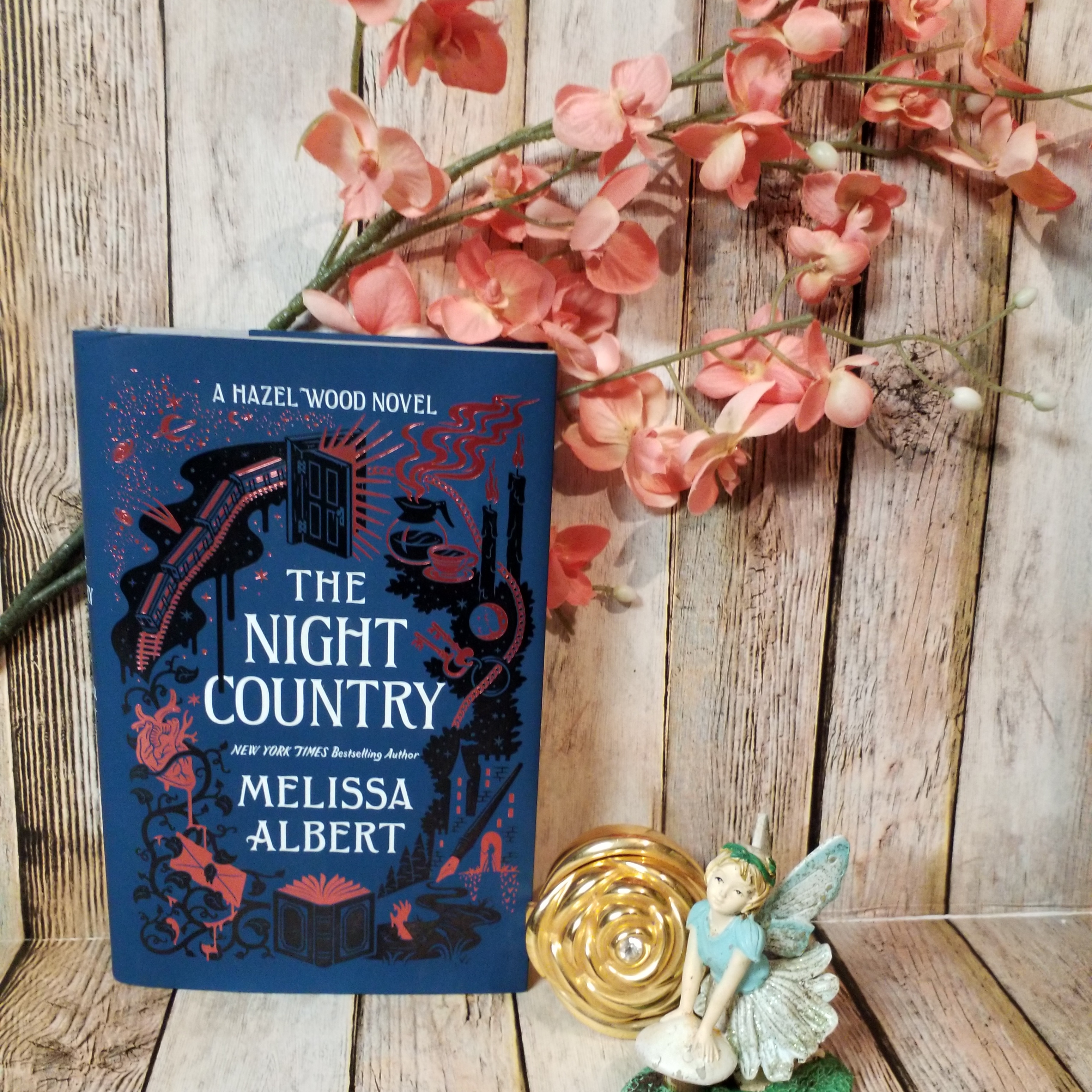 Download Book The night country a hazel wood novel For Free
